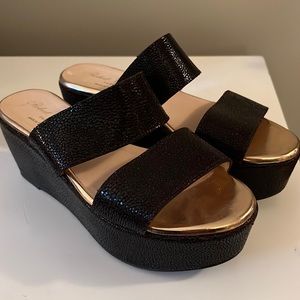 Robert Clergerie wedges!